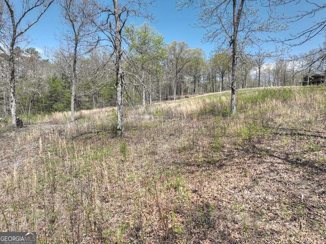 6 Arbor Creek Trail 6, Mineral Bluff, GA 30559