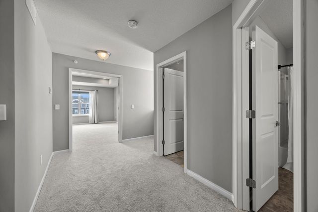 4375 Corn Silk Court, Woodbury, MN 55129