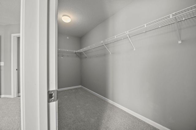 4375 Corn Silk Court, Woodbury, MN 55129