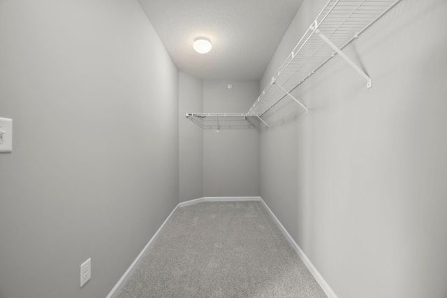 4375 Corn Silk Court, Woodbury, MN 55129