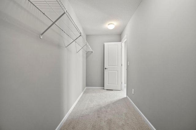 4375 Corn Silk Court, Woodbury, MN 55129