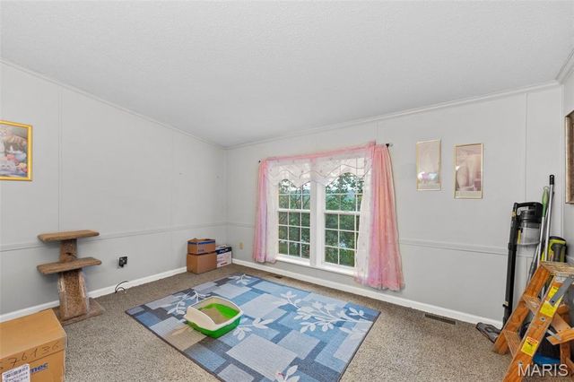 819 Horizon Lane, Fenton, MO 63026