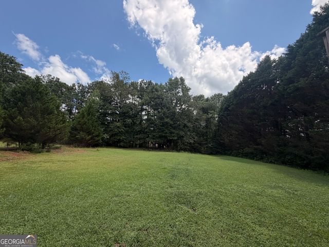 1408 Water Wheel Drive, Bethlehem, GA 30620
