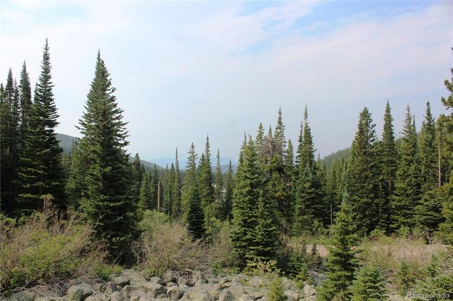 01 Miners Road, Idaho Springs, CO 80461