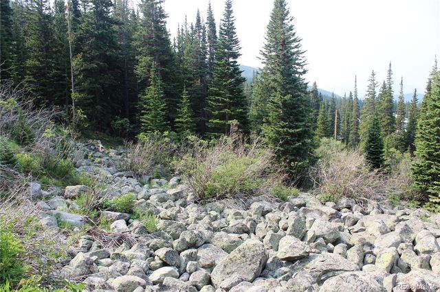 01 Miners Road, Idaho Springs, CO 80461