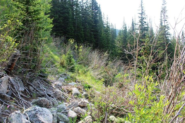 01 Miners Road, Idaho Springs, CO 80461