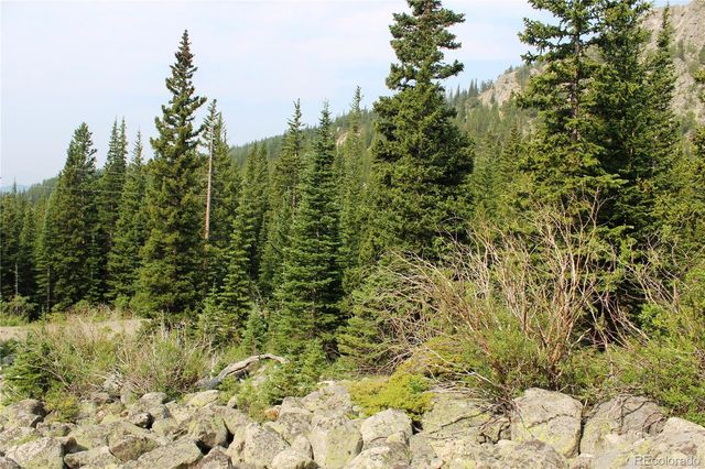 01 Miners Road, Idaho Springs, CO 80461