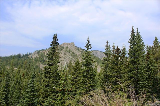 01 Miners Road, Idaho Springs, CO 80461