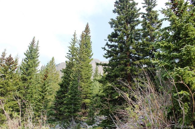01 Miners Road, Idaho Springs, CO 80461