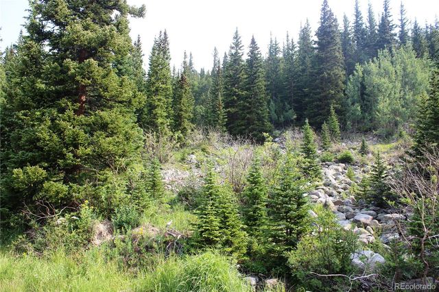 01 Miners Road, Idaho Springs, CO 80461
