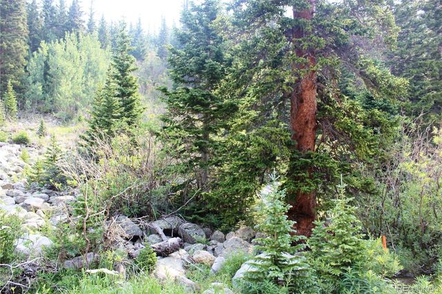 01 Miners Road, Idaho Springs, CO 80461