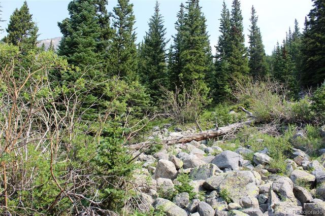 01 Miners Road, Idaho Springs, CO 80461