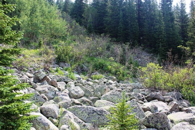 01 Miners Road, Idaho Springs, CO 80461