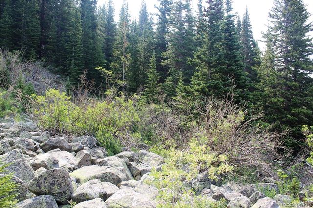 01 Miners Road, Idaho Springs, CO 80461