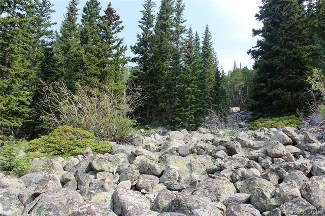 01 Miners Road, Idaho Springs, CO 80461