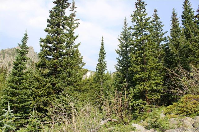 01 Miners Road, Idaho Springs, CO 80461