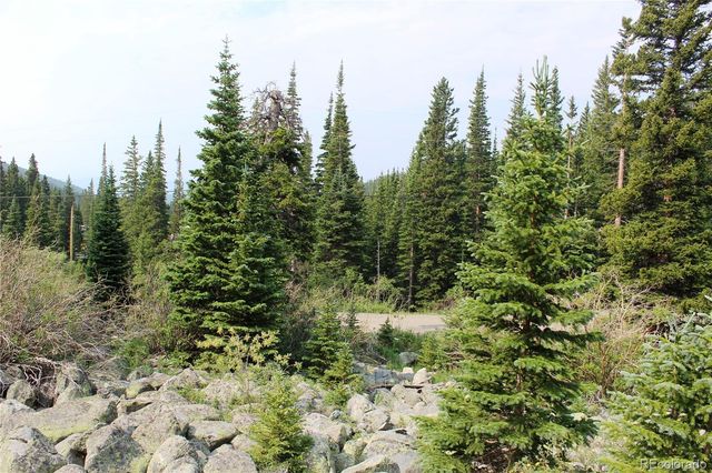 01 Miners Road, Idaho Springs, CO 80461