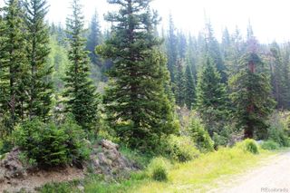01 Miners Road, Idaho Springs, CO 80461