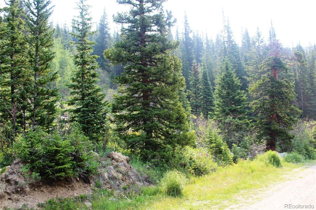 01 Miners Road, Idaho Springs, CO 80461
