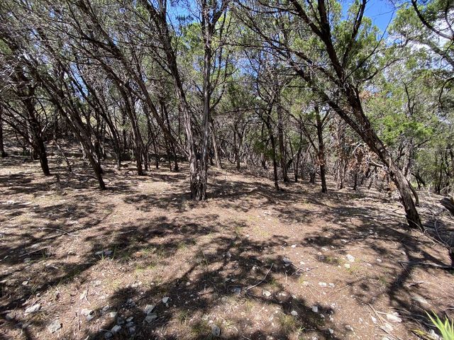 19201 W Reed Parks RD, Jonestown, TX 78645