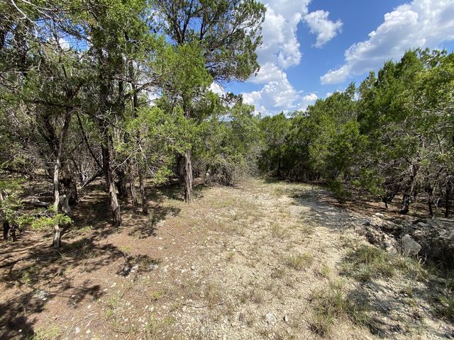 19201 W Reed Parks RD, Jonestown, TX 78645