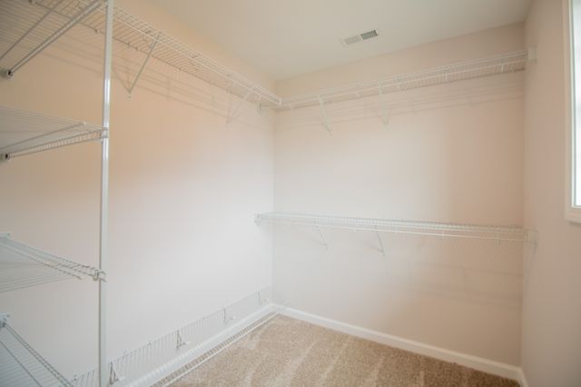 288 Timber Springs, Clarksville, TN 37042