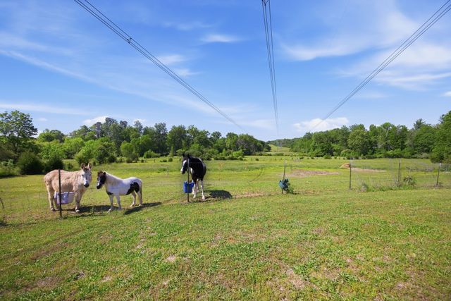 5975 Grasshopper Rd, Birchwood, TN 37308