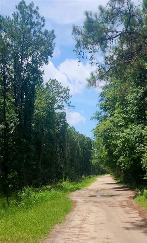 149 LITZELL ROAD, Interlachen, FL 32148