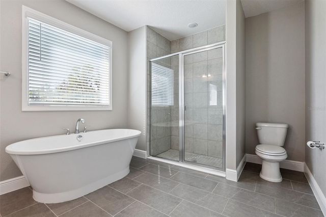 1076 BRADFORD RIDGE DRIVE, Leesburg, FL 34748