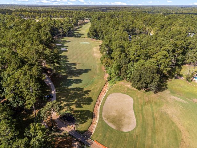 29212 Village Bend, Magnolia, TX 77655