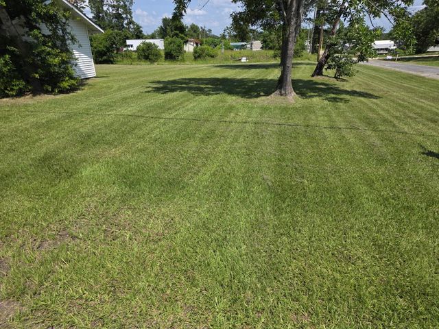 754 Yaupon Cove Drive, Onalaska, TX 77360