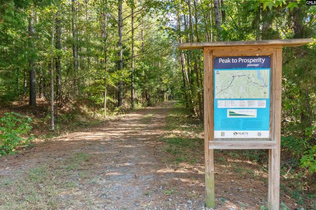 310 Caballeros Trail, Prosperity, SC 29127