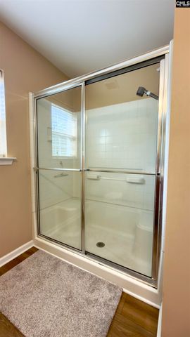 229 Creek Branch Drive, Lexington, SC 29072