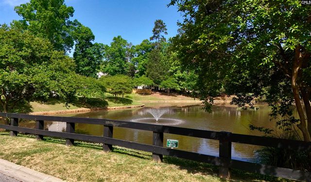 229 Creek Branch Drive, Lexington, SC 29072