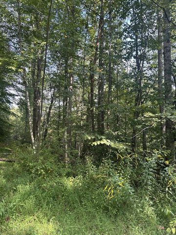 Tr2 Mountain Pass Drive, Hayesville, NC 28904