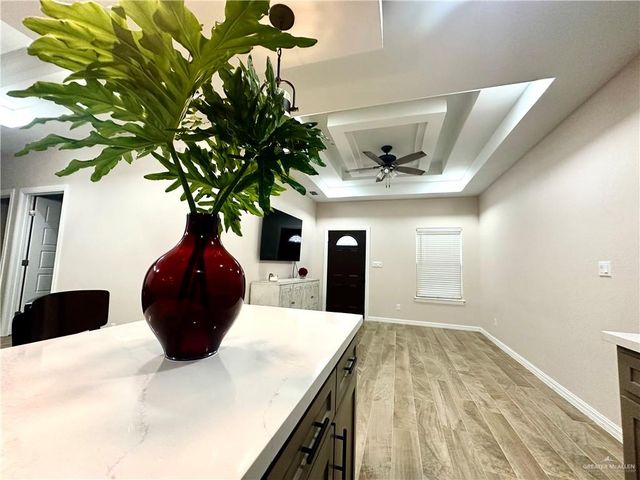 2904 Allen Drive, Edinburg, TX 78539