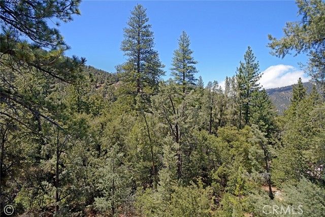 1801 Bernina Drive, Pine Mtn Club, CA 93222