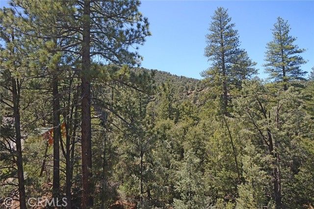 1801 Bernina Drive, Pine Mtn Club, CA 93222