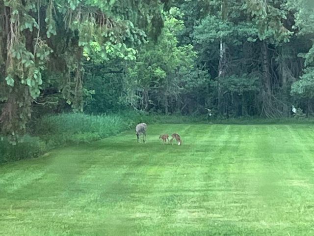 814 4TH AVENUE NORTH, Park Falls, WI 54552