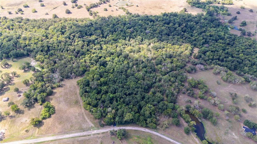 TBD Derby Lane, Madisonville, TX 77864 — photo 4