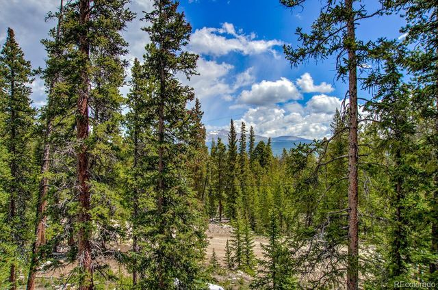 907 Bobcat Lane, Fairplay, CO 80440