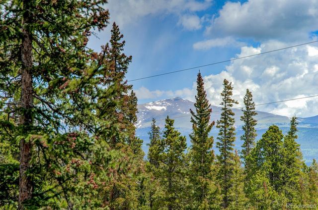 907 Bobcat Lane, Fairplay, CO 80440