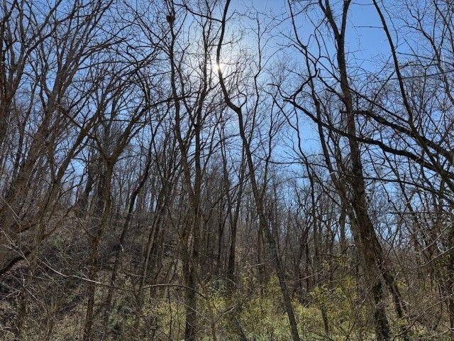 22.40AC Rocky Dell Hollow Road, Gravette, AR 72736