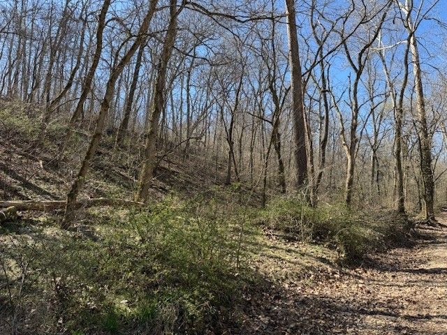 22.40AC Rocky Dell Hollow Road, Gravette, AR 72736