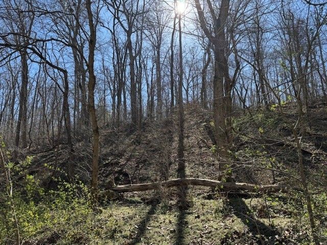 22.40AC Rocky Dell Hollow Road, Gravette, AR 72736