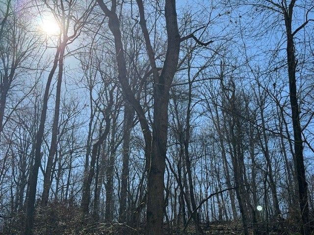 22.40AC Rocky Dell Hollow Road, Gravette, AR 72736