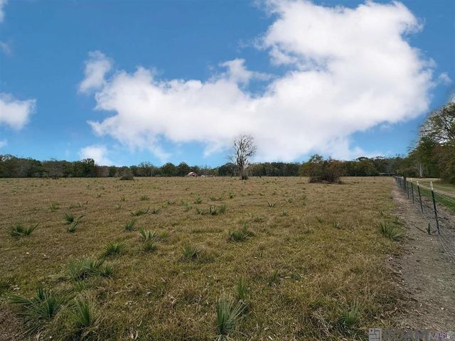 45538 Doc Ln, St Amant, LA 70774
