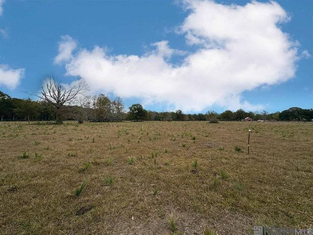 45538 Doc Ln, St Amant, LA 70774