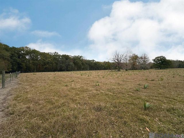 45538 Doc Ln, St Amant, LA 70774
