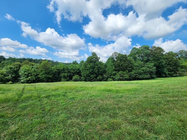 0 Taurus Farm Rd, Lafayette, TN 37083